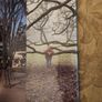 Wood. By Andy Goldsworthy. First Edition Very Large Hardback With Dustjacket In Good Condition   See Photos For Same Image 6