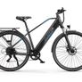 Duotts C29 Lite Electric Bike Image 3