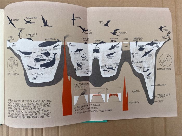 Vintage hardback books - beautiful illustrations