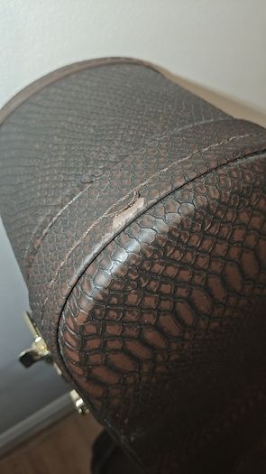 Fame Brown Acoustic Case