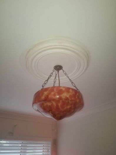 Beautiful Flycatcher light shade