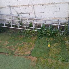 ladders