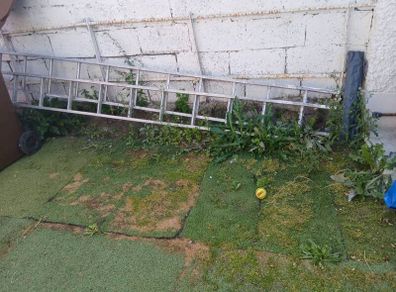 ladders