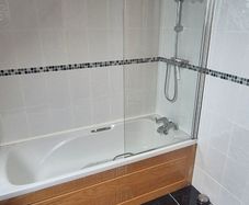Bath/Shower Door