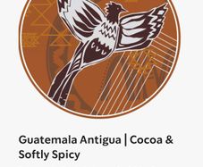 Starbucks Guatemala Antigua Whole Bean Medium Roast Coffee Beans