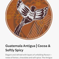 Starbucks Guatemala Antigua Whole Bean Medium Roast Coffee Beans