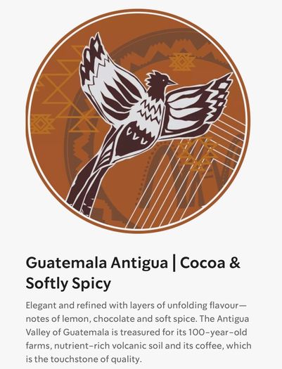 Coffee beans - Starbucks Guatemala Antigua Whole Bean Medium Roast