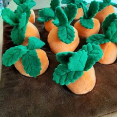 Snuffle dog carrot mat