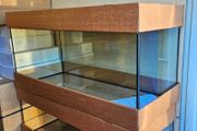 Aquarium 100x40x50 200l