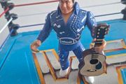 WWF hasbro Honky Tonk Man with Guitar