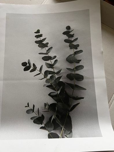 Desenio artwork print sets
