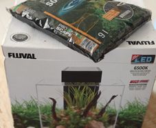Fluval edge 2.0 46L aquarium