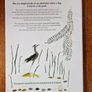 Signed copy of Oh, we're lost! By Siobhan Cuffe Image 2