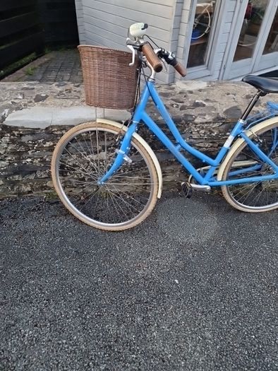 Ladies Bike