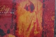 The Big Geraniums CD - It's Alright