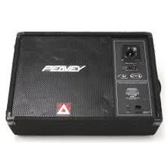 Peavey Eurosys 12PM Monitor (Grade B)