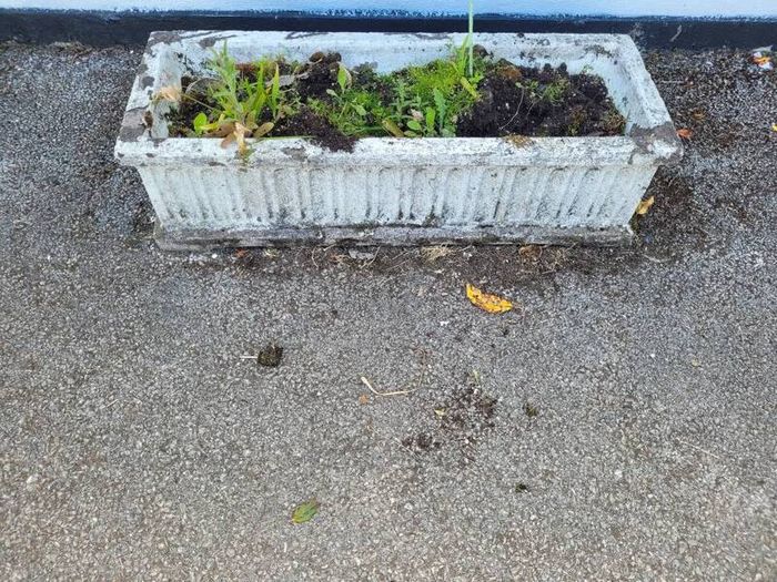 garden planter