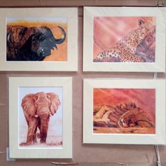 Four Simon Stevenson Safari Prints