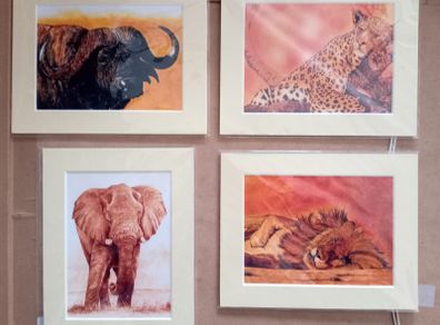 Four Simon Stevenson Safari Prints