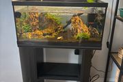 tank and stand