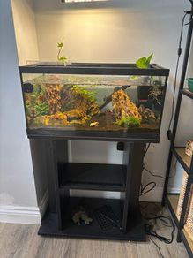 tank and stand