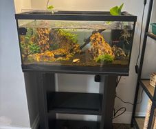 tank and stand