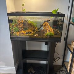 tank and stand