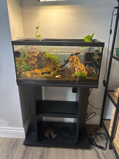 tank and stand