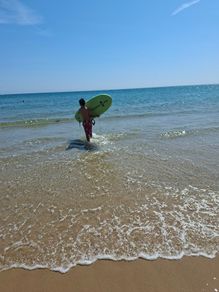 The Bug surfboard board
