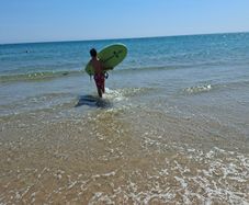 The Bug surfboard board
