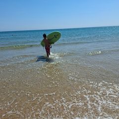 The Bug surfboard board