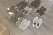 trainers
