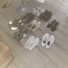 trainers