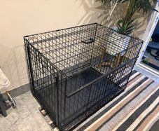 dog cage
