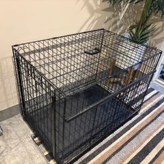 dog cage