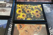11 Picture frames