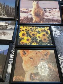11 Picture frames
