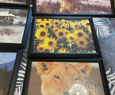 11 Picture frames