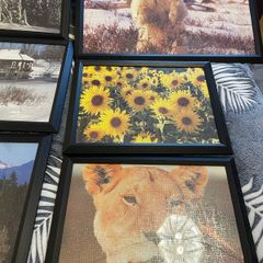 11 Picture frames