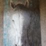 Horse picture Image 2