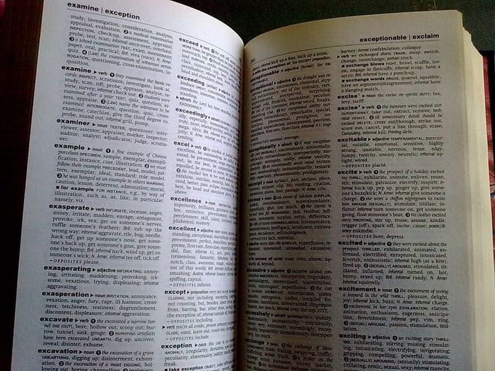 Dictionary &Thesaurus 4 volume matching set