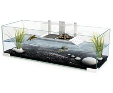 Fish/ turtle tank aquariamFish/ turtle tank aquariam