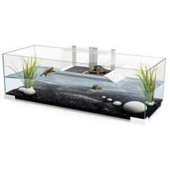 Fish/ turtle tank aquariamFish/ turtle tank aquariam