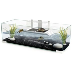 Fish/ turtle tank aquariamFish/ turtle tank aquariam