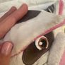 Disney Moana Plush Pua approx. 25cm Dirty Please see photos Image 7