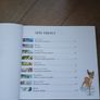 Story Collection by Disney in Polish Image 2