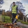 DeWALT 54V Flexvolt Cordless Brushless Leaf Grass Blower. The Best A Professional Can Get. Closing down sale - all must go!. Image 3