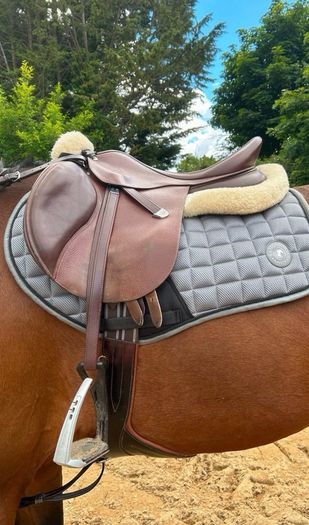 Bates GP Saddle