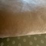 3.25 metres of velvet upholstery fabric in mink Image 2