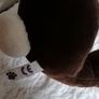 Plush Bunny Image 5